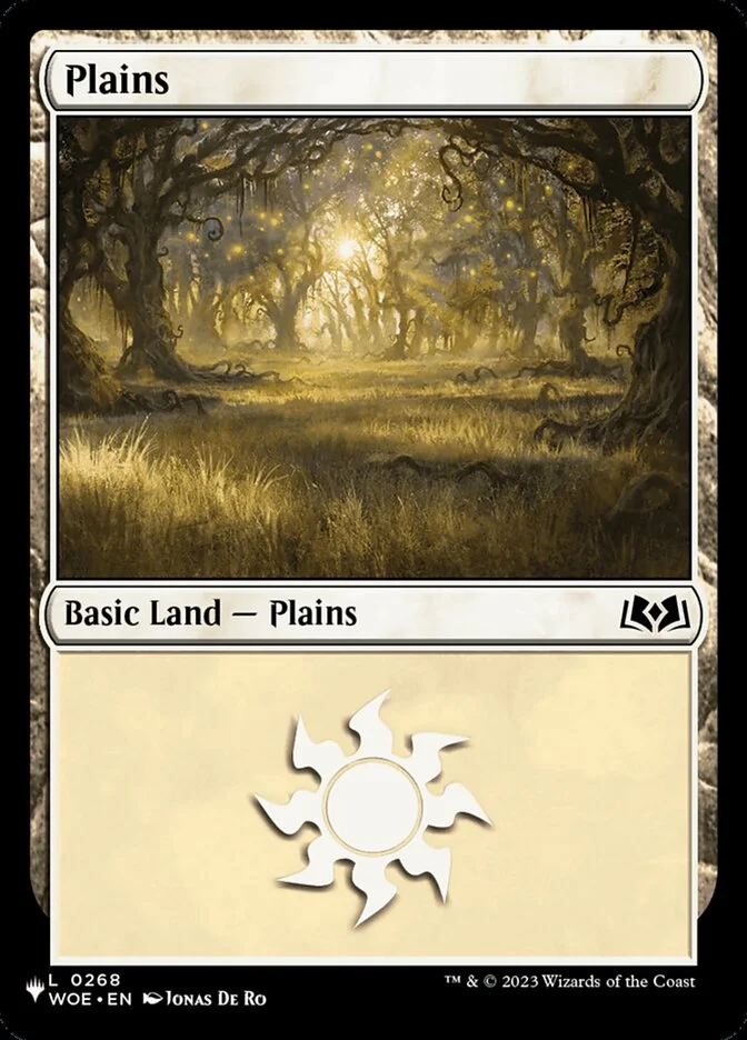 Plains 「PLST/WOE-268」「EN」