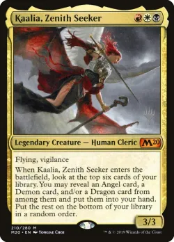 Kaalia, Zenith Seeker 「PM20/210p」「EN」