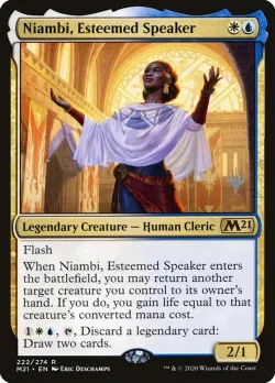 Niambi, Esteemed Speaker 「PM21/222p」「EN」