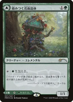 Tangled Florahedron // Tangled Vale 「PMEI/2020-8」「EN」