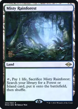 Misty Rainforest 「PMH2/250s」「EN」