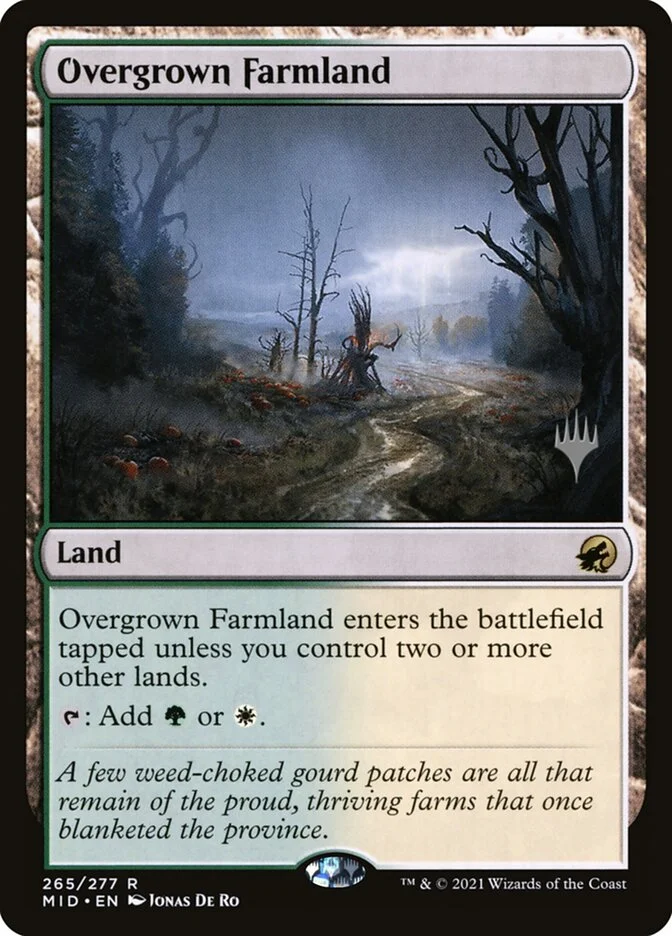 Overgrown Farmland 「PMID/265p」「EN」