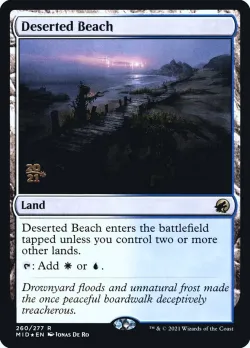 Deserted Beach 「PMID/260s」「EN」
