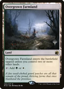 Overgrown Farmland 「PMID/265p」「EN」