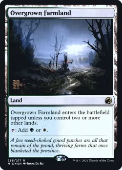 Overgrown Farmland 「PMID/265s」「EN」