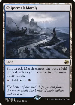 Shipwreck Marsh 「PMID/267p」「EN」