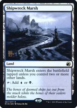 Shipwreck Marsh 「PMID/267s」「EN」