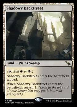 Shadowy Backstreet 「PMKM/268p」「EN」
