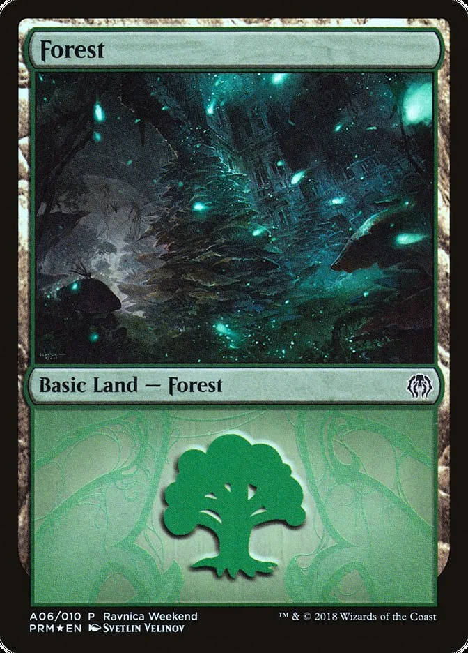 Forest 「PRWK/A06」「EN」