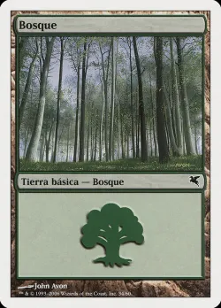 Forest #B34 · Magic: The Gathering