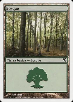 Forest 「PSAL/B60」「EN」