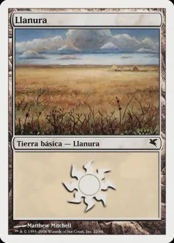 Plains #G22 · Magic: The Gathering