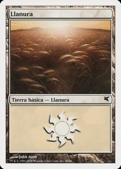 Plains #G45 · Magic: The Gathering