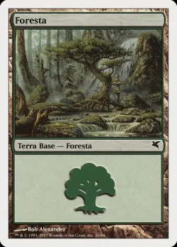 Forest #K20 · Magic: The Gathering