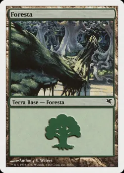 Forest #K34 · Magic: The Gathering