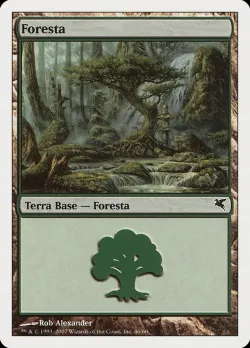 Forest #K46 · Magic: The Gathering