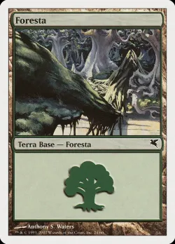 Forest #L24 · Magic: The Gathering