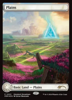 Plains 「PSS4/1」「EN」