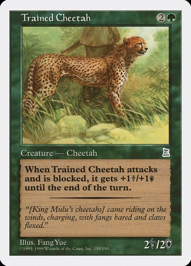 Trained Cheetah 「PTK/154」「EN」