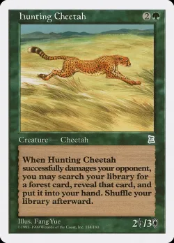 Hunting Cheetah 「PTK/138」「EN」