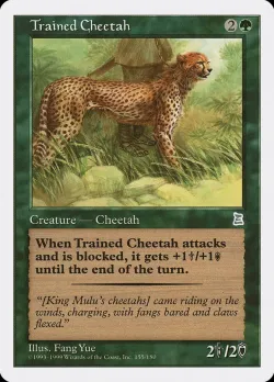 Trained Cheetah 「PTK/154」「EN」