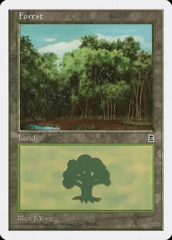 Forest 「PTK/178」「EN」