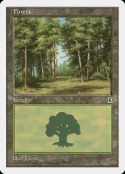 Forest 「PTK/179」「EN」