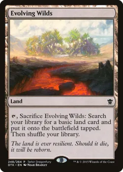 Evolving Wilds 「PTKDF/248」「EN」