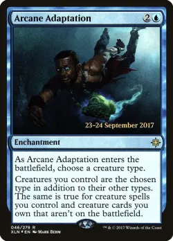 Arcane Adaptation #46s · Magic: The Gathering
