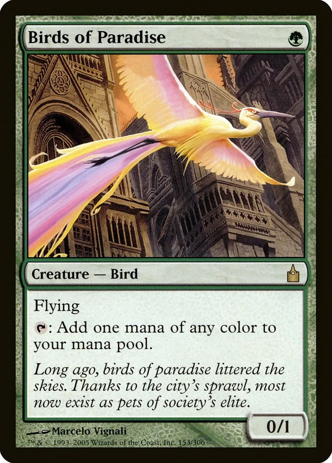 Birds of Paradise 「RAV/153」「EN」