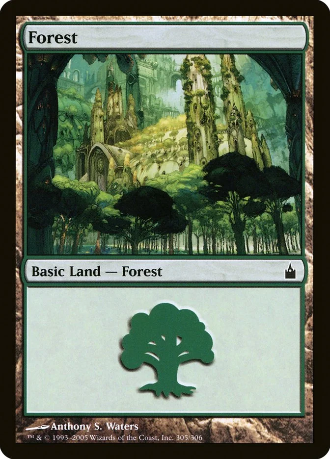 Forest 「RAV/305」「EN」