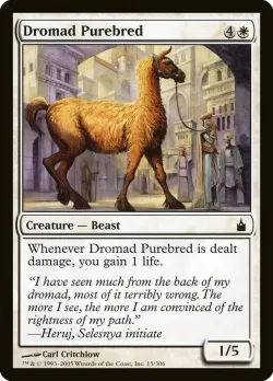 Dromad Purebred #15 · Magic: The Gathering