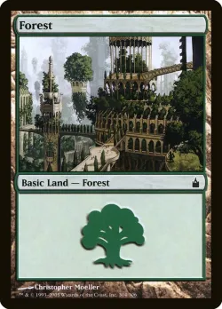 Forest 「RAV/304」「EN」