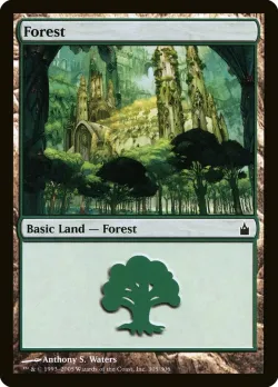 Forest 「RAV/305」「EN」