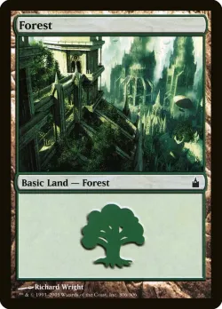 Forest 「RAV/306」「EN」