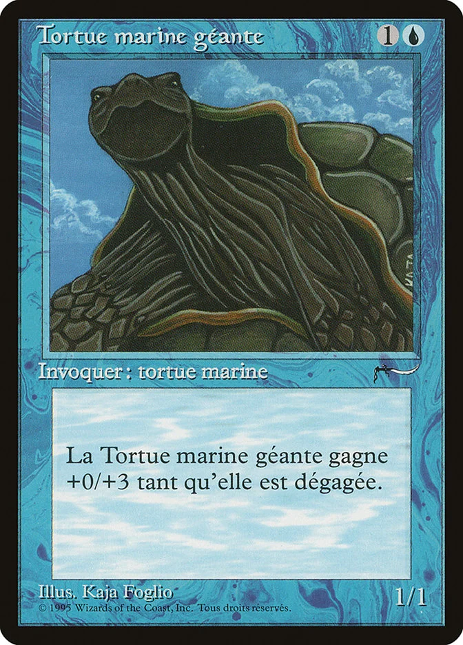 Giant Tortoise 「REN/34」「EN」