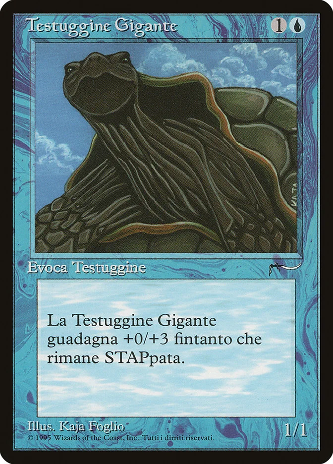 Giant Tortoise 「RIN/27」「EN」