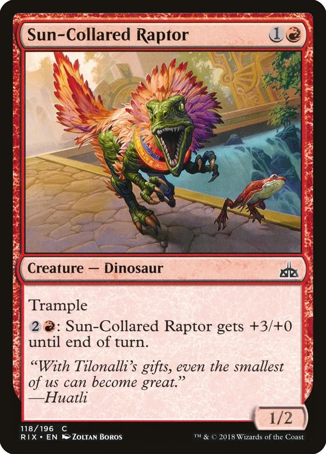Sun-Collared Raptor 「RIX/118」「EN」