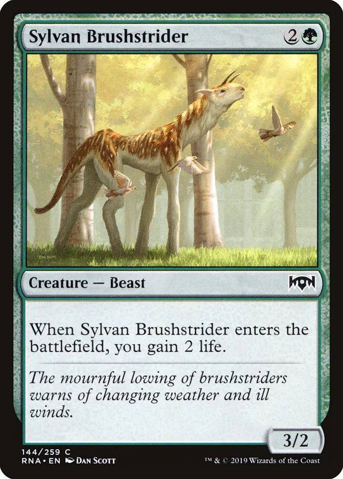 Sylvan Brushstrider 「RNA/144」「EN」