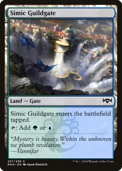 Simic Guildgate 「RNA/257」「EN」
