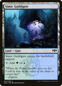 Simic Guildgate 「RNA/258」「EN」