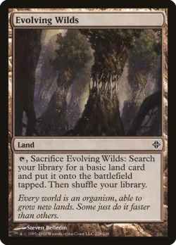 Evolving Wilds 「ROE/228」「EN」