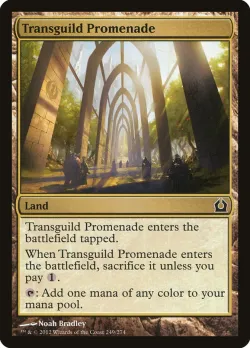 Transguild Promenade 「RTR/249」「EN」