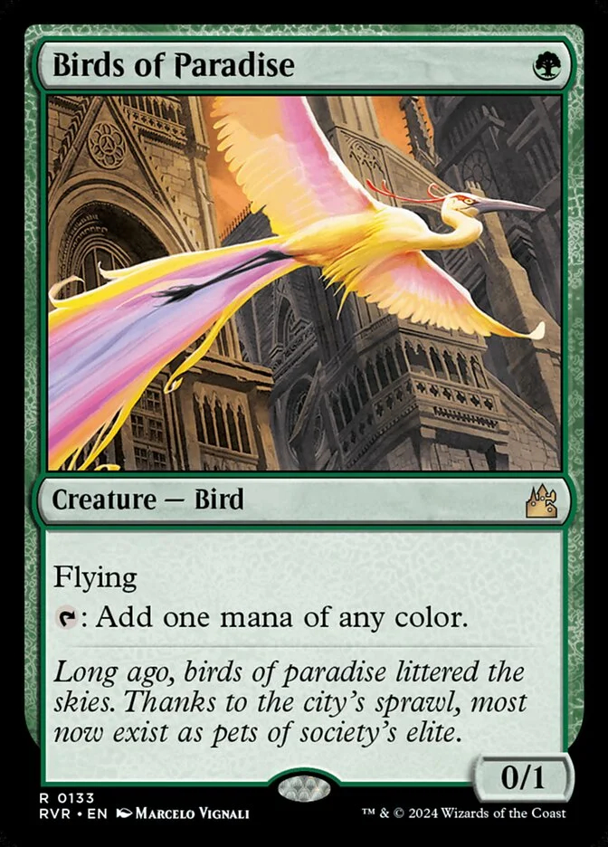 Birds of Paradise 「RVR/133」「EN」