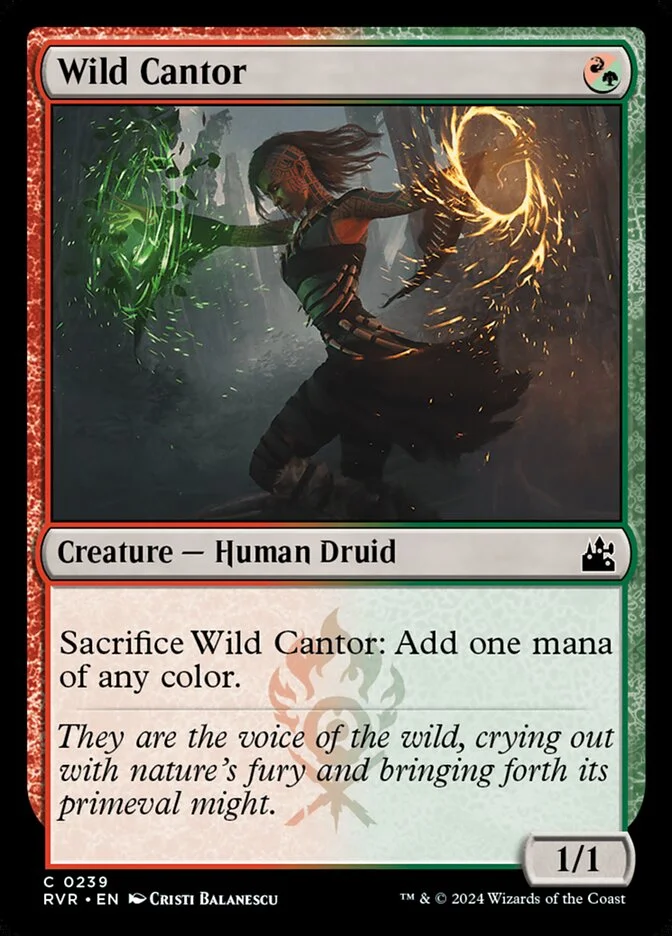 Wild Cantor 「RVR/239」「EN」