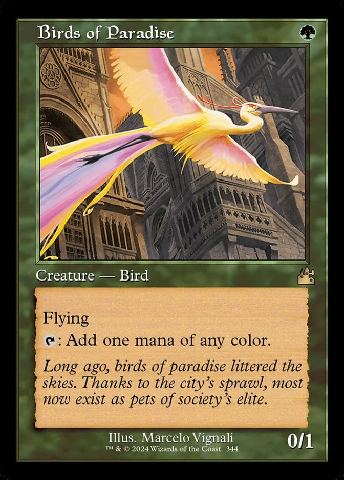 Birds of Paradise 「RVR/344」「EN」