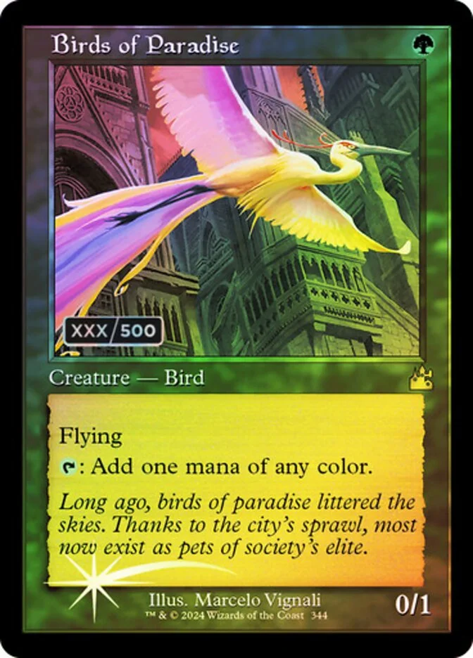 Birds of Paradise 「RVR/344z」「EN」