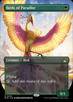 Birds of Paradise 「RVR/432」「EN」