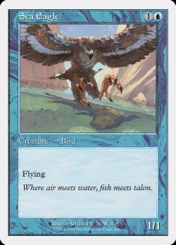 Sea Eagle 「S00/18」「EN」