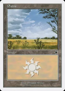 Plains 「S99/156」「EN」